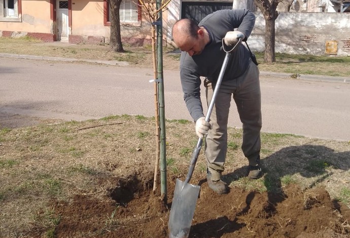 Realizaron tareas de reforestación en la calle Pozos