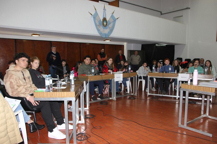 Se realizó la etapa distrital del Parlamento Juvenil del Mercosur 