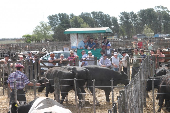 Bermejo & CIA Consignatarios anunció su 44° Remate de Hacienda