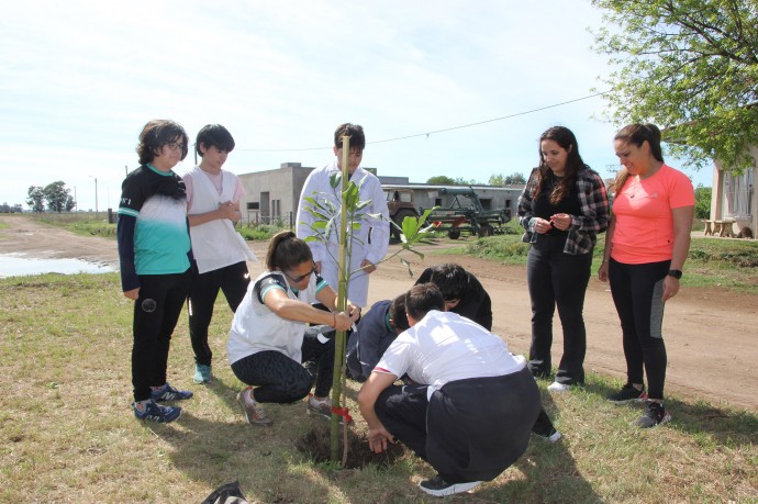 Alumnos de primaria plantaron árboles en la calle Venezuela