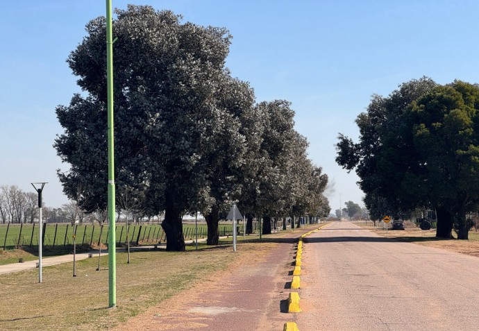 Tres Lomas realiza la primera jornada “Nace un niño, planta un árbol”