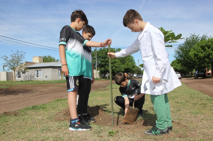 Alumnos de primaria plantaron árboles en la calle Venezuela