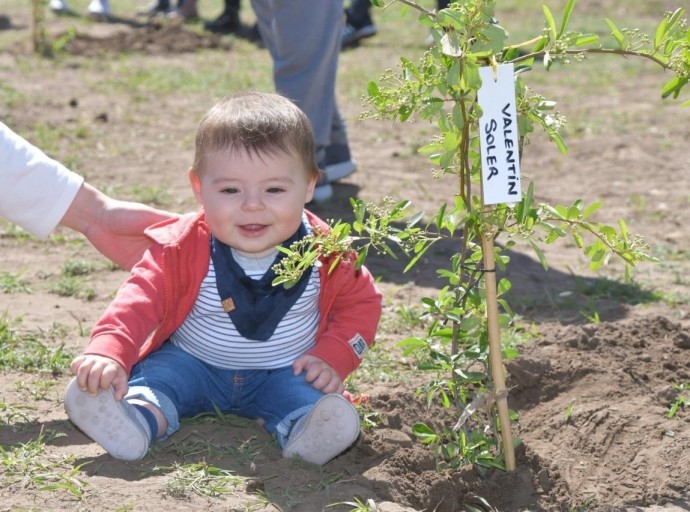 Jornada “Nace un niño, nace un árbol” en Salliqueló y Quenumá