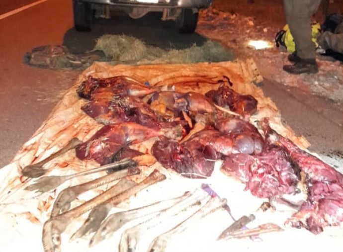 Secuestraron carne de ñandúes y liebres cazadas en la zona de Salliqueló 