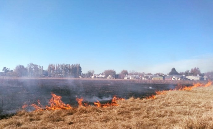 Incendio en la sección quintas de Pellegrini