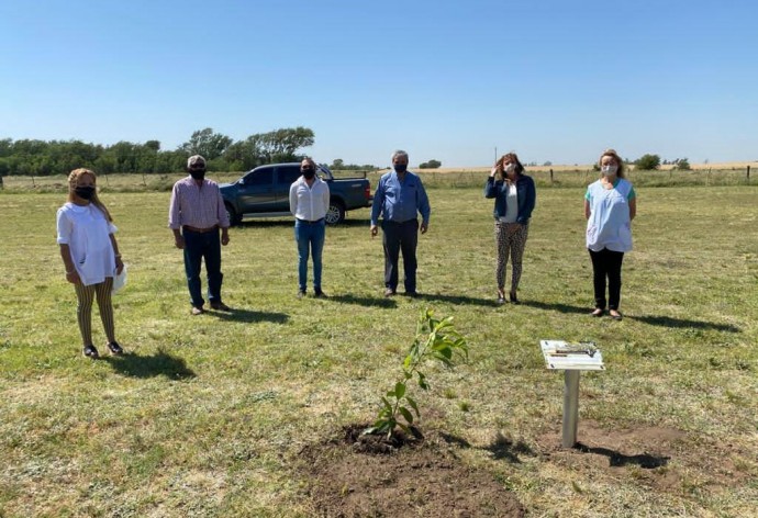 Plantaron un árbol en reconocimiento a los egresados de Quenumá