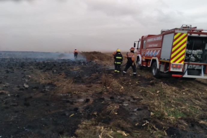 Bomberos de la zona extinguieron un incendio de pastizales 