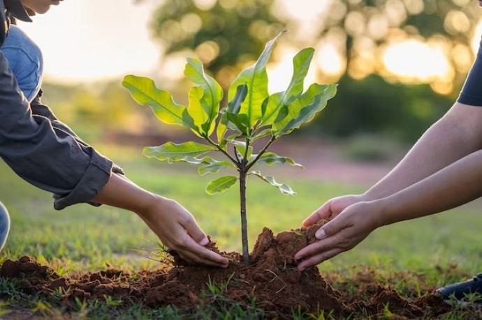 Se reprograma en Tres Lomas la jornada “Nace un niño, planta un árbol”